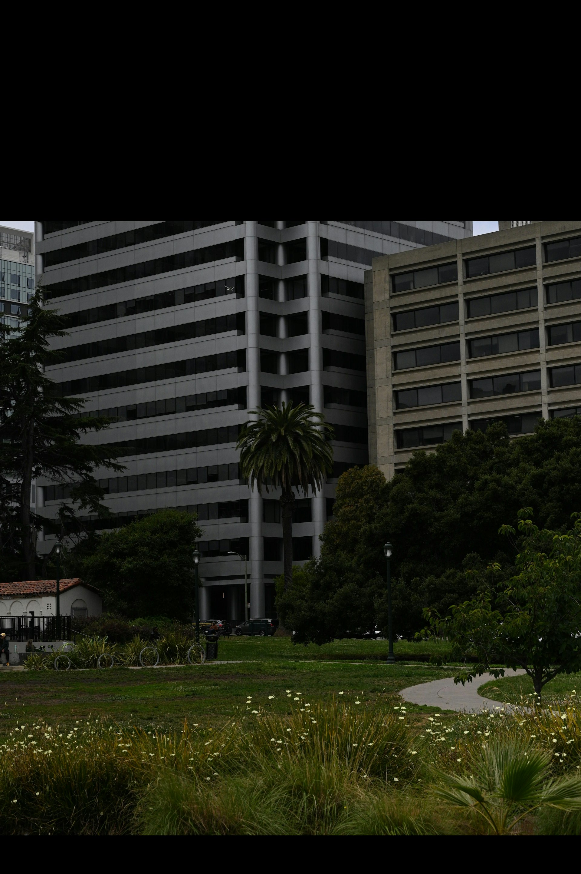 Commercial property with professional landscaping