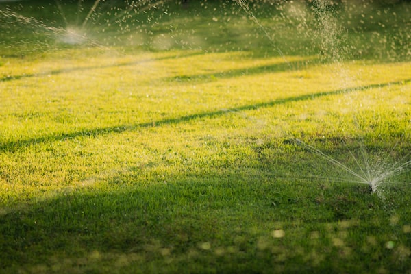 Lawn sprinkler irrigation system at sunset