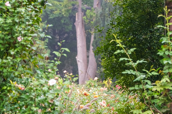 Beautiful landscape design with garden beds and flowers